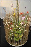 www.floristic.ru - . EUROFLEURS 2010