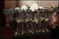 www.floristic.ru - .   