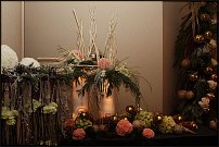 www.floristic.ru - .   