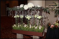 www.floristic.ru - .   