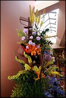 www.floristic.ru - .   