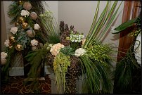 www.floristic.ru - .   