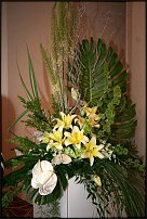 www.floristic.ru - .   