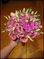 www.floristic.ru - .  .