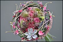 www.floristic.ru - .  .