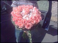 www.floristic.ru - .     -,  ..