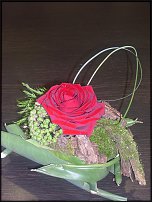 www.floristic.ru - .    !!!