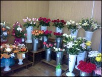 www.floristic.ru - .    !!!