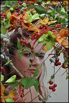 www.floristic.ru - .  