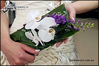 www.floristic.ru - .  .
