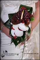 www.floristic.ru - .  .