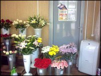 www.floristic.ru - .       - ?