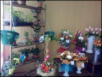 www.floristic.ru - .       - ?