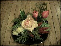 www.floristic.ru - .  .