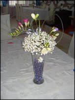 www.floristic.ru - .  .