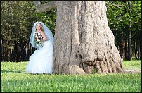 www.floristic.ru - .  .
