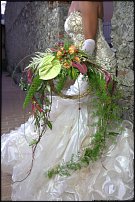 www.floristic.ru - .  .