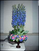 www.floristic.ru - .   ""