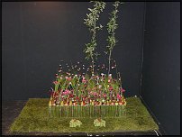 www.floristic.ru - .        EUROFLEURS 2008