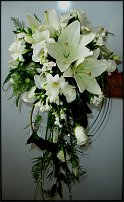 www.floristic.ru - .  .