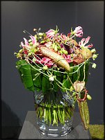 www.floristic.ru - .        EUROFLEURS 2008