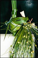www.floristic.ru - .      