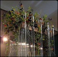 www.floristic.ru - .        EUROFLEURS 2008