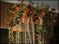 www.floristic.ru - .        EUROFLEURS 2008