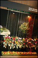 www.floristic.ru - .        EUROFLEURS 2008