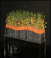 www.floristic.ru - .        EUROFLEURS 2008