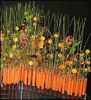 www.floristic.ru - .        EUROFLEURS 2008