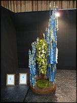 www.floristic.ru - .        EUROFLEURS 2008