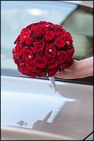 www.floristic.ru - .  