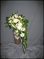 www.floristic.ru - .  .