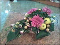 www.floristic.ru - .     -,  ..