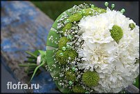 www.floristic.ru - .   