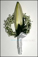 www.floristic.ru - . !!!!!