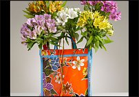 www.floristic.ru - . ALSTROEMERIA ()