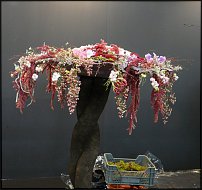 www.floristic.ru - .        EUROFLEURS 2008