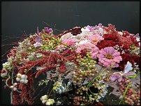 www.floristic.ru - .        EUROFLEURS 2008