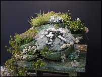 www.floristic.ru - .        EUROFLEURS 2008