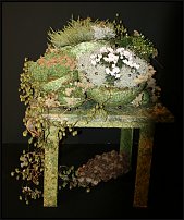 www.floristic.ru - .        EUROFLEURS 2008