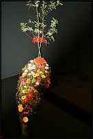 www.floristic.ru - .        EUROFLEURS 2008