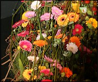 www.floristic.ru - .        EUROFLEURS 2008