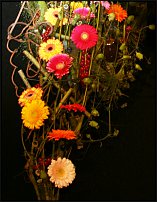 www.floristic.ru - .        EUROFLEURS 2008