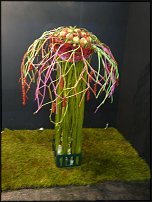 www.floristic.ru - .        EUROFLEURS 2008