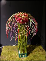 www.floristic.ru - .        EUROFLEURS 2008