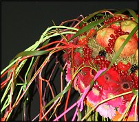 www.floristic.ru - .        EUROFLEURS 2008