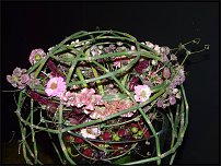 www.floristic.ru - .        EUROFLEURS 2008