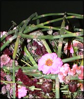 www.floristic.ru - .        EUROFLEURS 2008